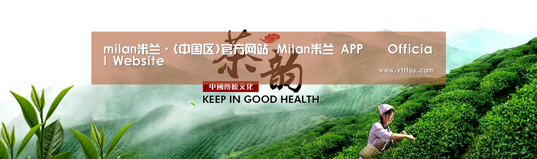 易优Cms-演示站