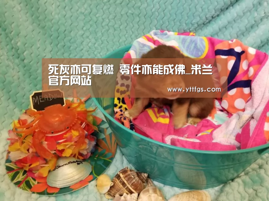 死灰亦可复燃 零件亦能成佛_米兰官方网站(图3) milan米兰app官网