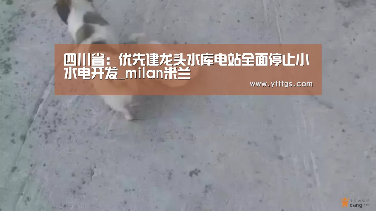 四川省:优先建龙头水库电站全面停止小水电开发_milan米兰(图1) milan米兰app官网