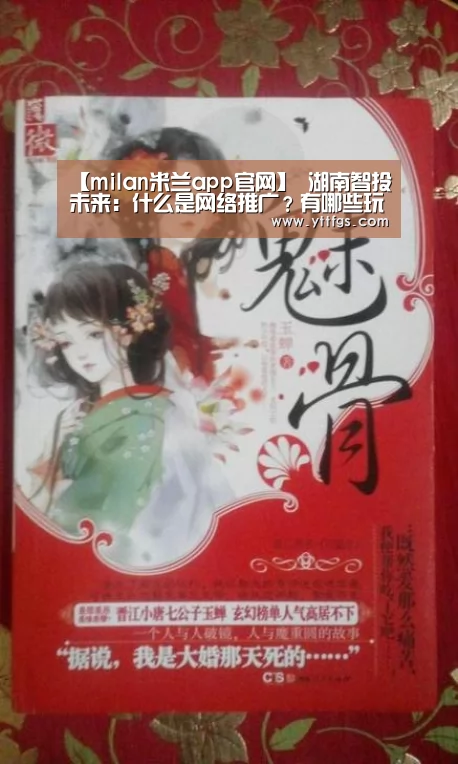 【milan米兰app官网】
湖南智投未来:什么是网络推广?有哪些玩法?又要怎么玩(图2) 米兰官方网站