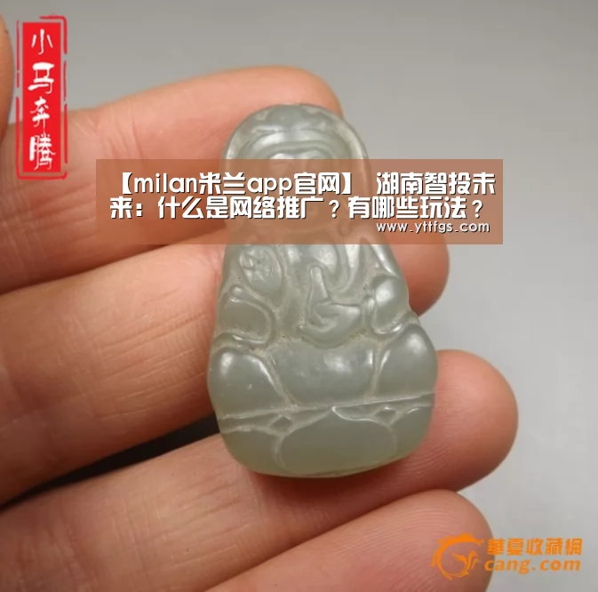 【milan米兰app官网】
湖南智投未来:什么是网络推广?有哪些玩法?又要怎么玩(图4) milan米兰