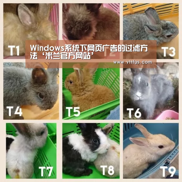 Windows系统下网页广告的过滤方法‘米兰官方网站’(图4) milan米兰