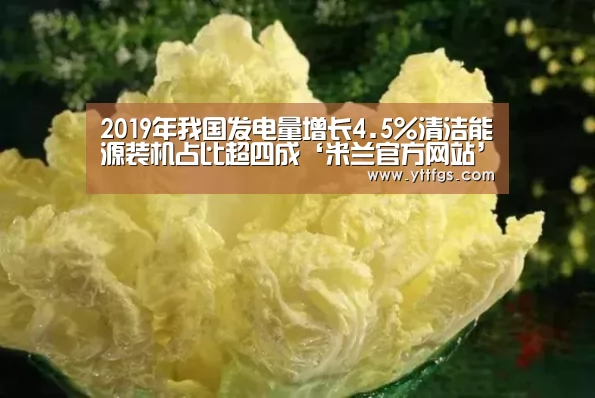 2019年我国发电量增长4.5%清洁能源装机占比超四成‘米兰官方网站’(图2) milan米兰app官网