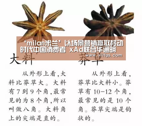 ‘milan米兰’以场景营销赢取移动时代中国消费者 xAd联合华通明略发布《移动购买路径研究》白皮书(图2) milan米兰