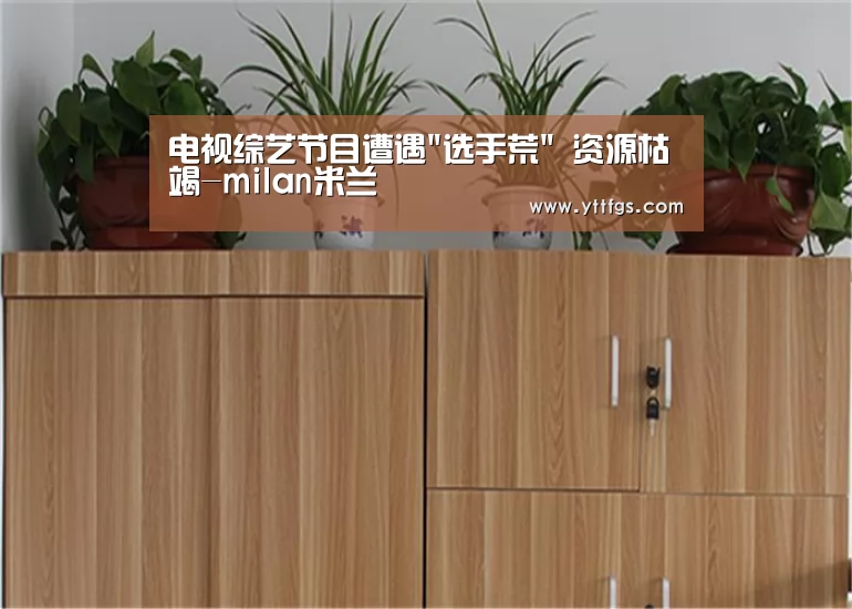 电视综艺节目遭遇选手荒 资源枯竭-milan米兰(图2) milan米兰app官网