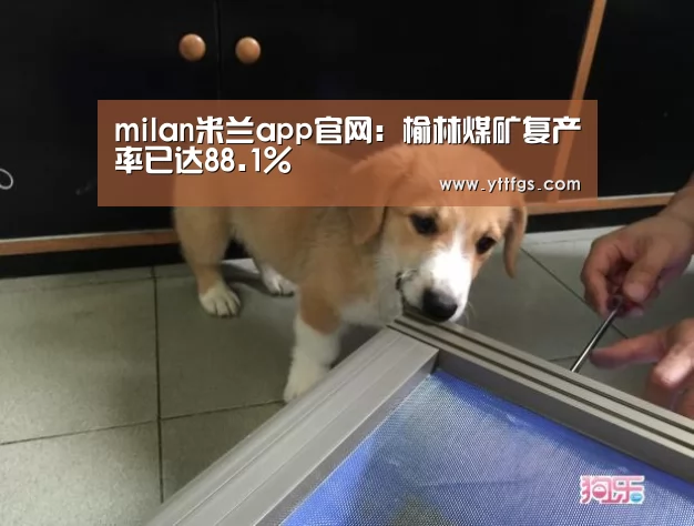 milan米兰app官网:榆林煤矿复产率已达88.1%(图1) milan米兰