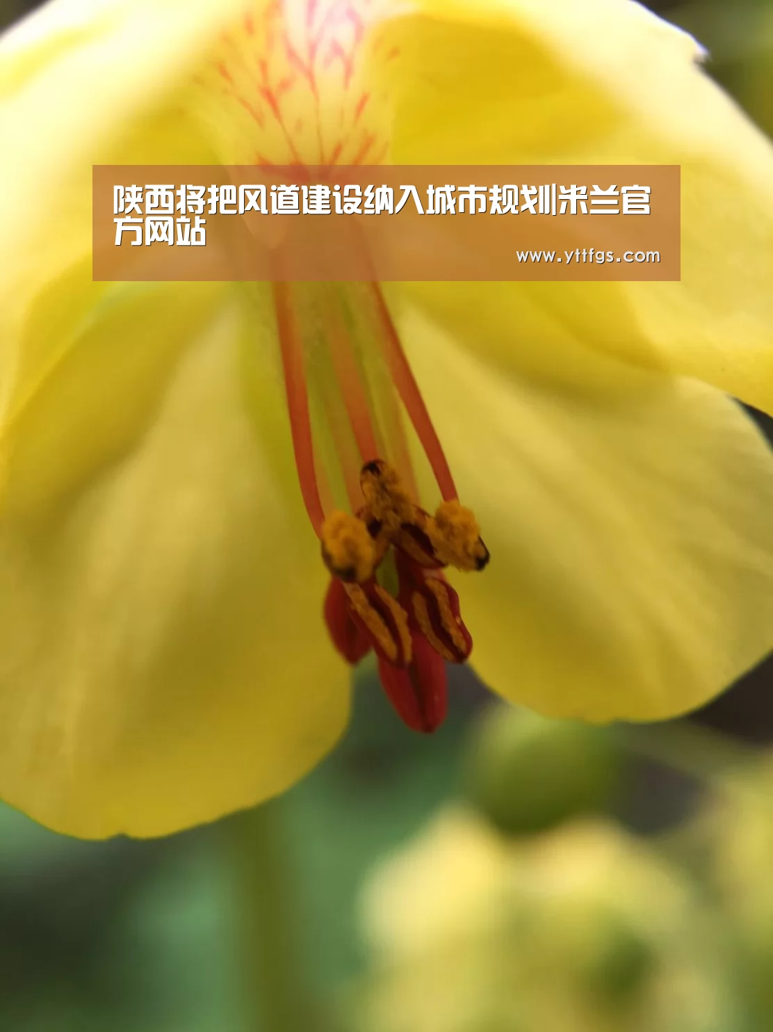 陕西将把风道建设纳入城市规划|米兰官方网站(图1) milan米兰app官网