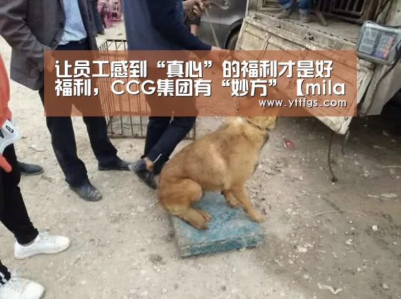 让员工感到“真心”的福利才是好福利,CCG集团有“妙方”【milan米兰】(图3) 米兰官方网站