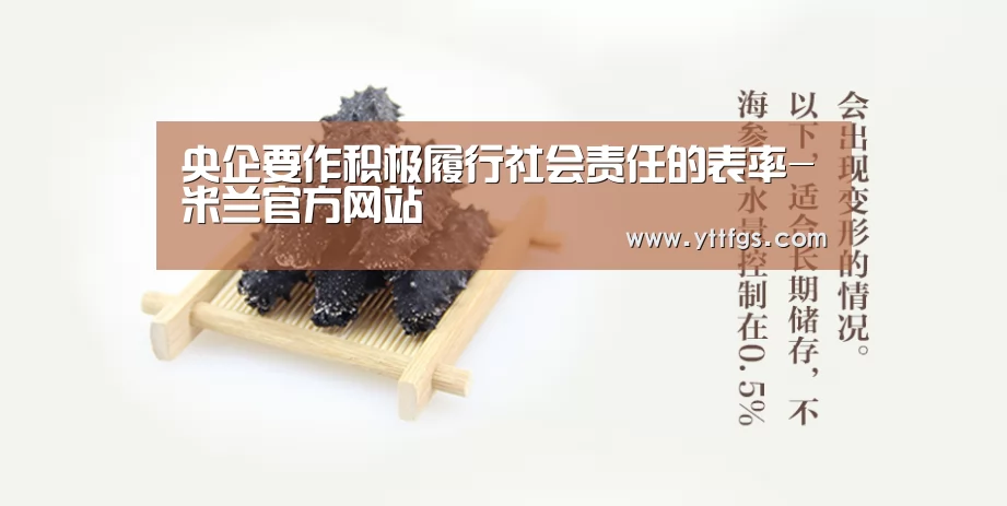 央企要作积极履行社会责任的表率-米兰官方网站(图2) 米兰官方网站