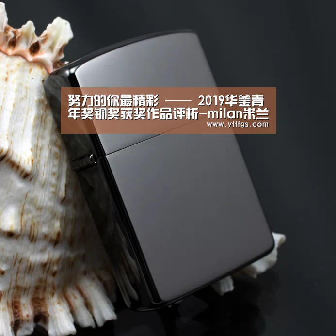 努力的你最精彩 —— 2019华釜青年奖铜奖获奖作品评析-milan米兰(图1) milan米兰app官网