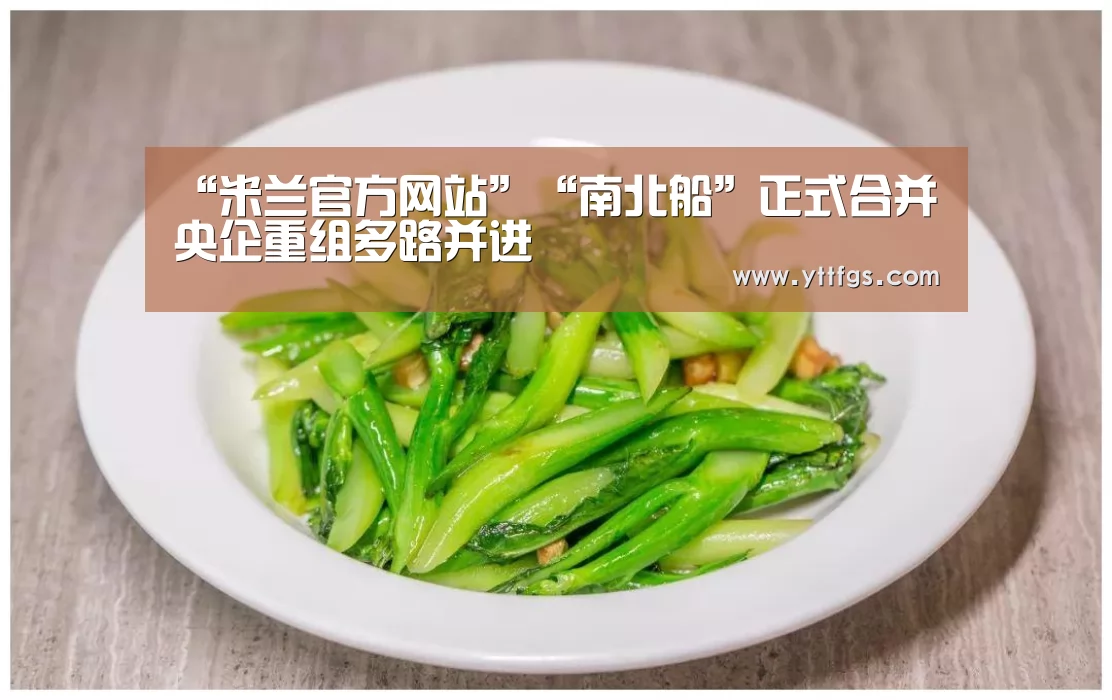 “米兰官方网站”“南北船”正式合并央企重组多路并进(图4) 米兰官方网站