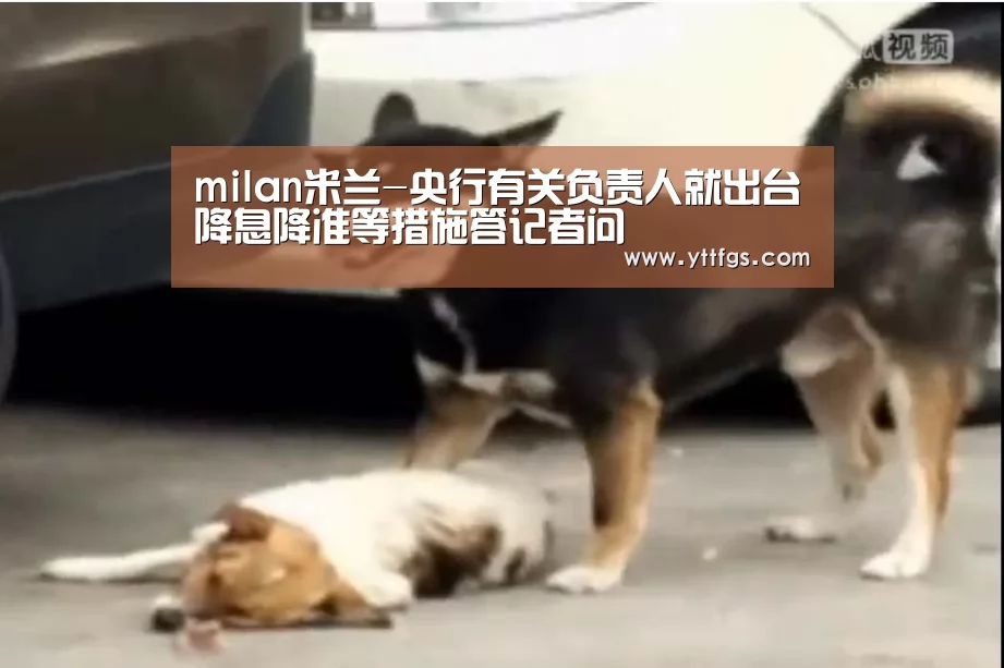 milan米兰-央行有关负责人就出台降息降准等措施答记者问(图2) milan米兰