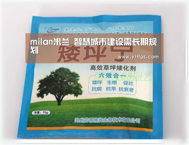 milan米兰_智慧城市建设需长期规划(图1) milan米兰