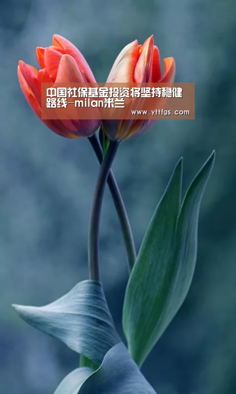 中国社保基金投资将坚持稳健路线-milan米兰(图3) milan米兰